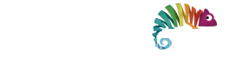 WebFormas - Agência de Marketing Digital em São Pualo